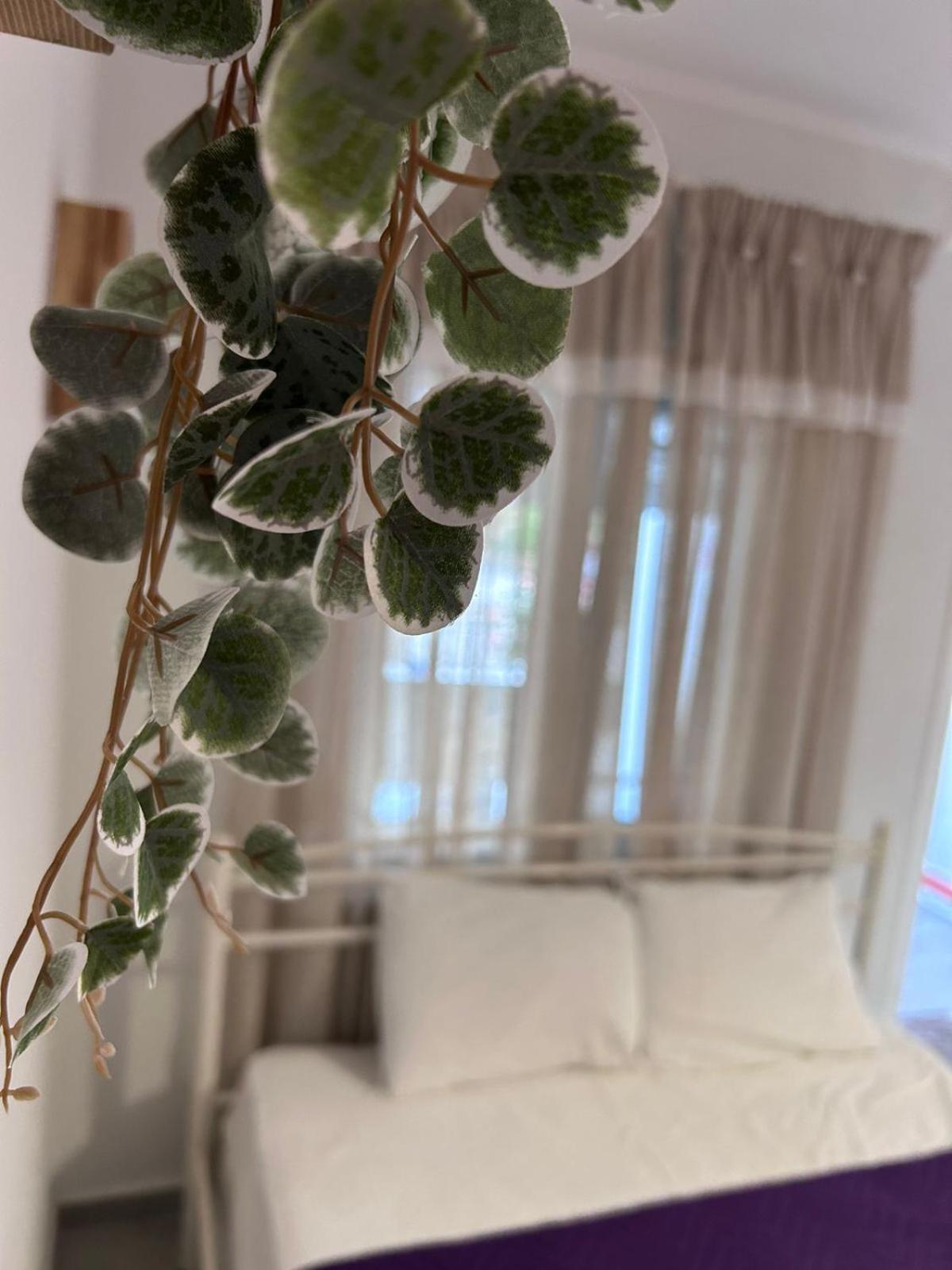Amaya Pine Rooms Keremetli Dış mekan fotoğraf