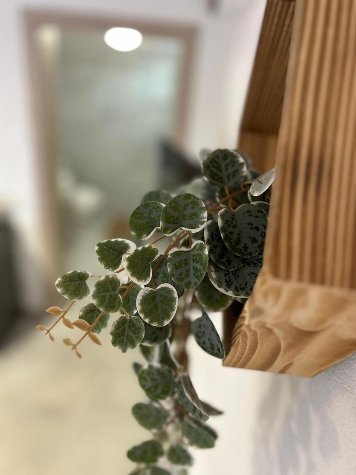 Amaya Pine Rooms Keremetli Dış mekan fotoğraf