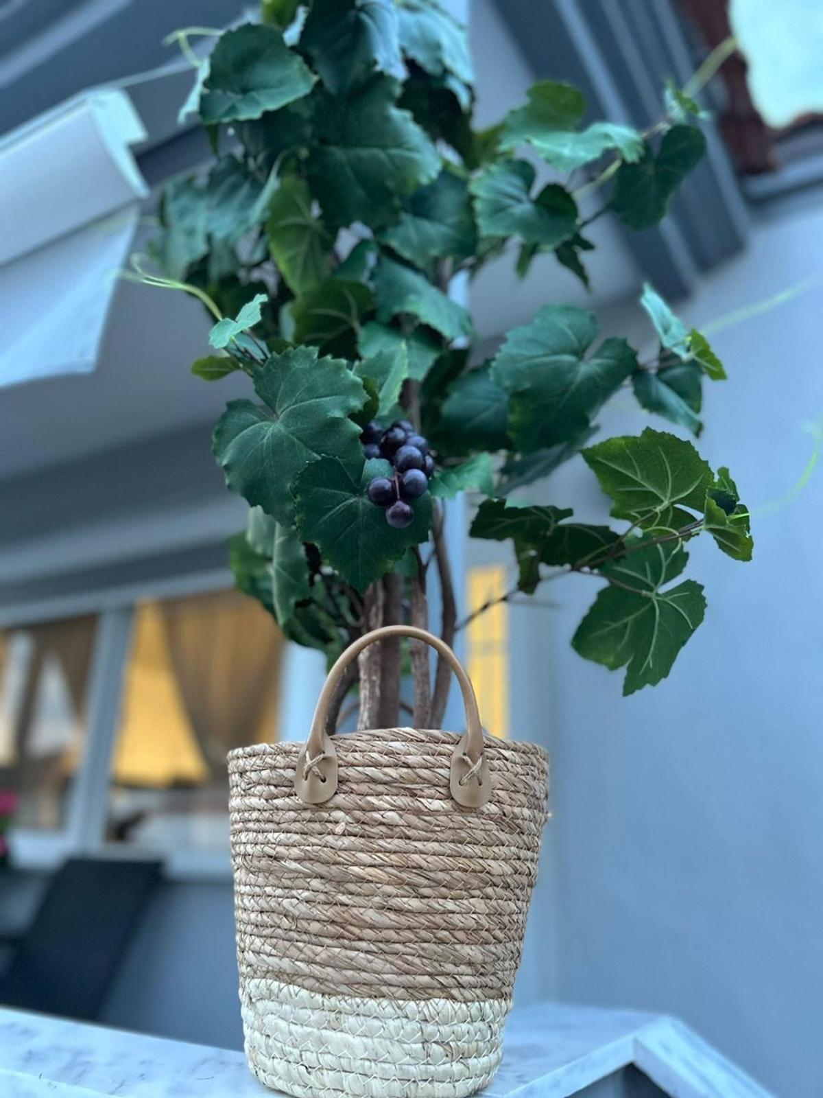 Amaya Pine Rooms Keremetli Dış mekan fotoğraf